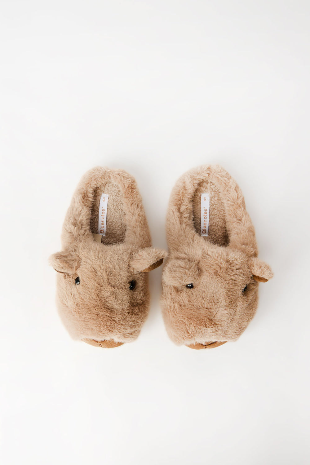 Pantoufles à motif Capybara 3D Pantoufles à motif Capybara 3D