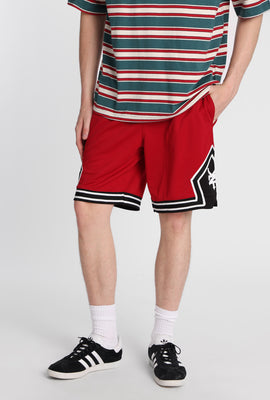 Zoo York Mesh Basketball Shorts