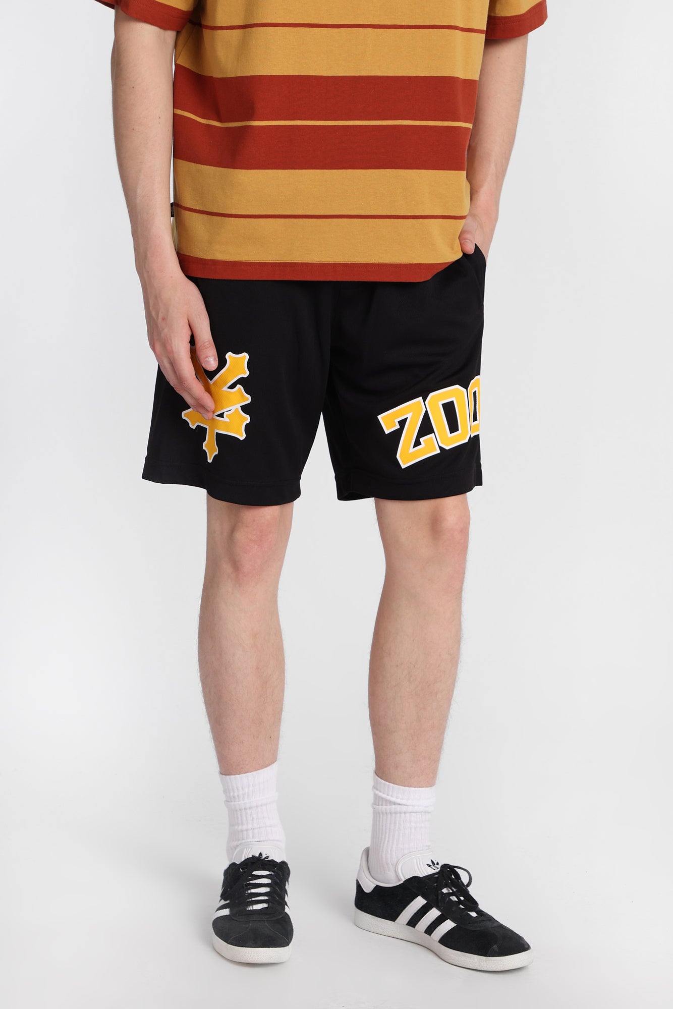 Zoo York Logo Mesh Shorts - /