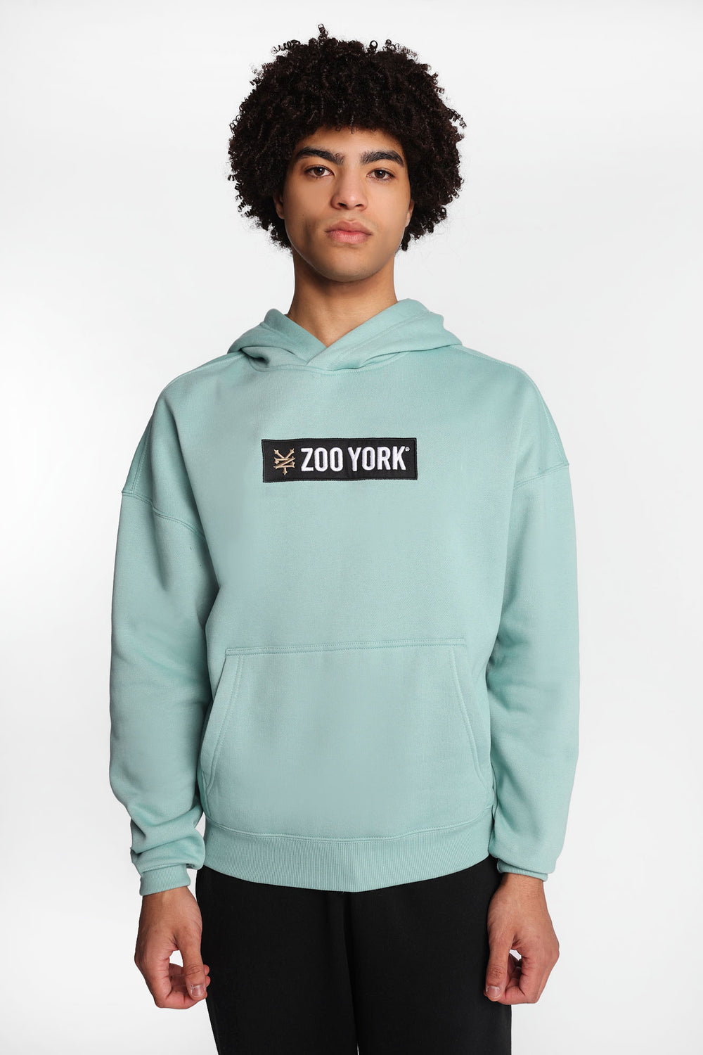 Zoo York Embroidered Box Logo Hoodie Zoo York Embroidered Box Logo Hoodie