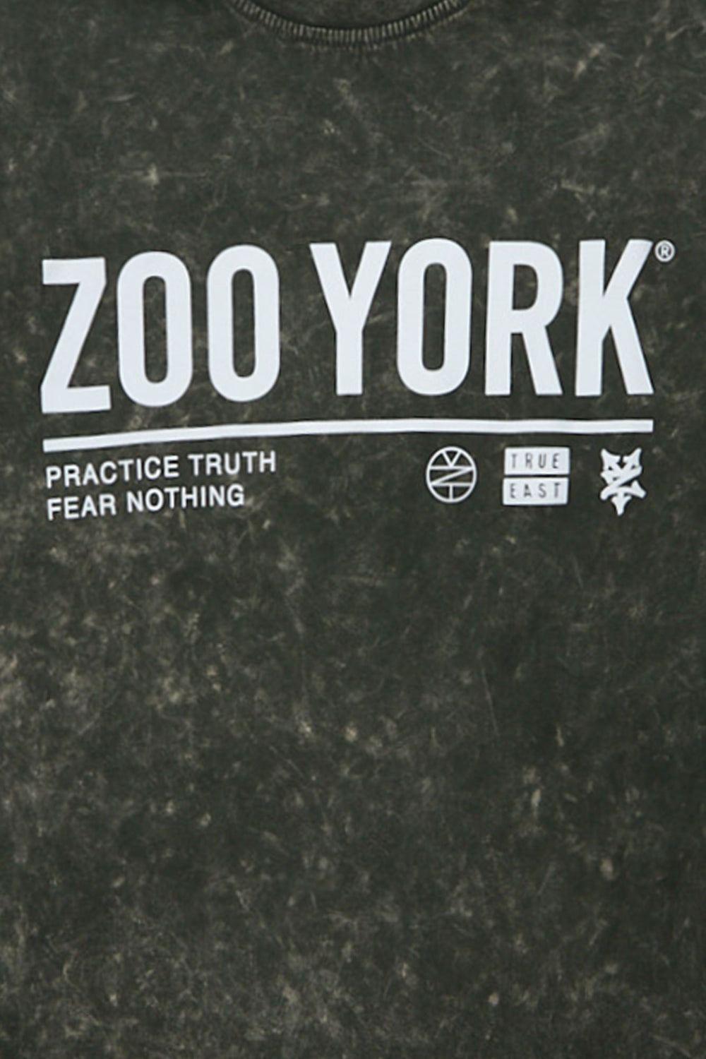 T-shirt surdimensionné délavé imprimé Logo Zoo York T-shirt surdimensionné délavé imprimé Logo Zoo York