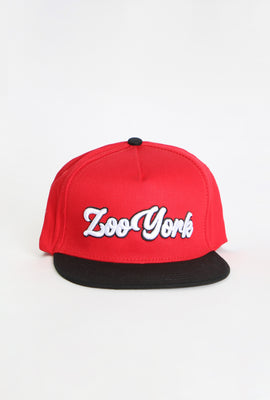 Zoo York Mens Script Logo Flat Brim Hat