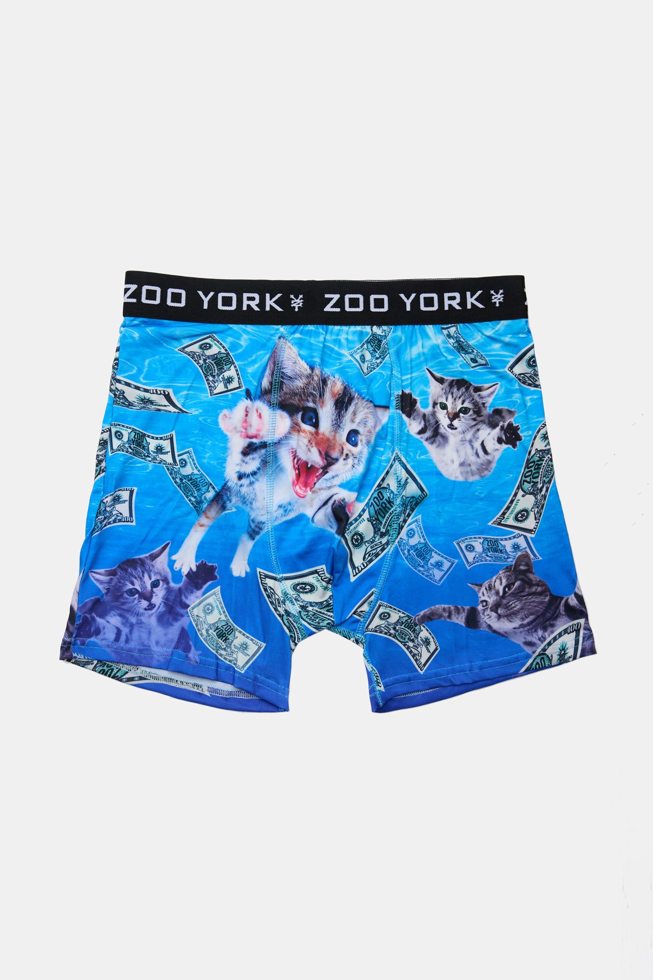 Zoo York Mens Money & Kittens Boxer Brief - Blue /