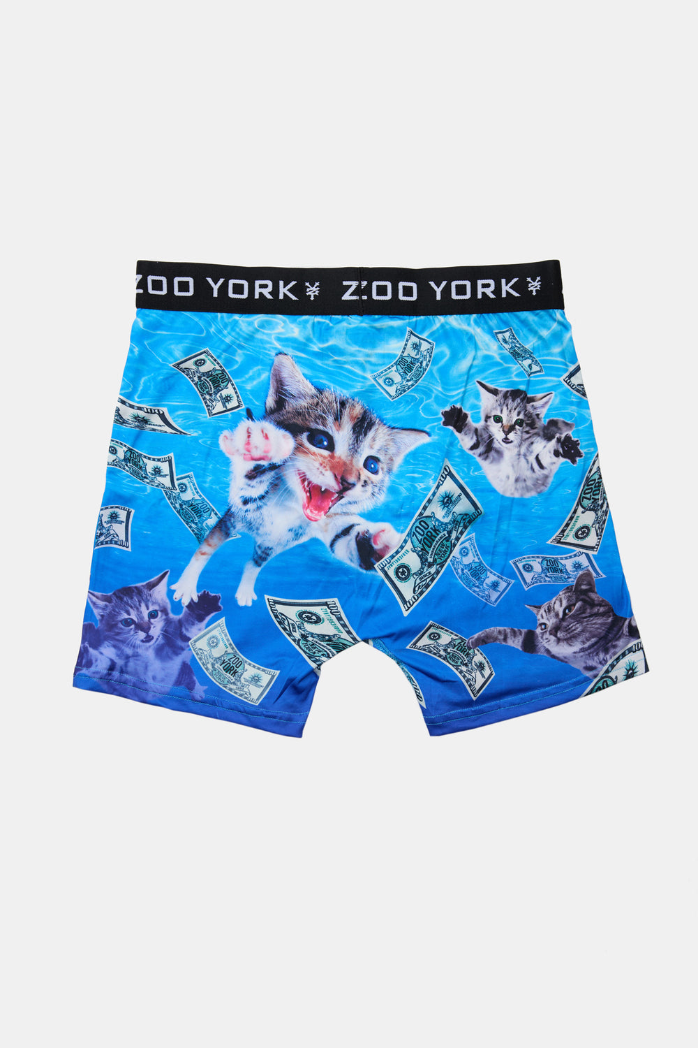 Boxer Imprimé Dollars & Chatons Zoo York Homme Boxer Imprimé Dollars & Chatons Zoo York Homme