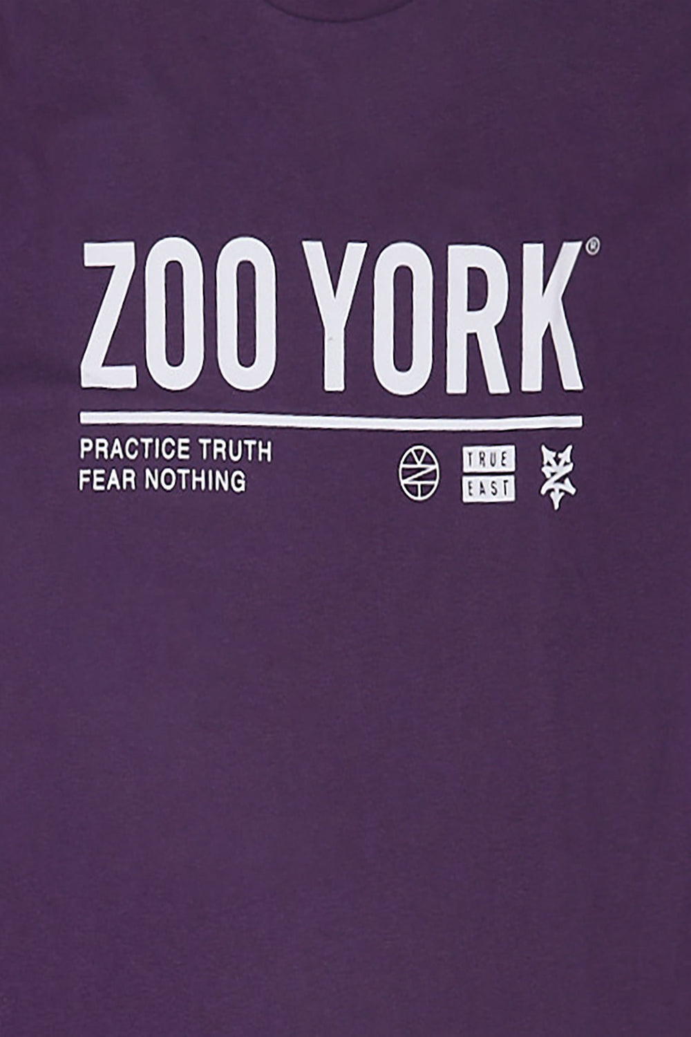 Zoo York Mens True East Logo T-Shirt Zoo York Mens True East Logo T-Shirt