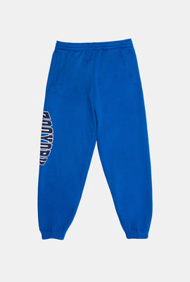 Zoo York Youth Varsity Logo Sweatpant