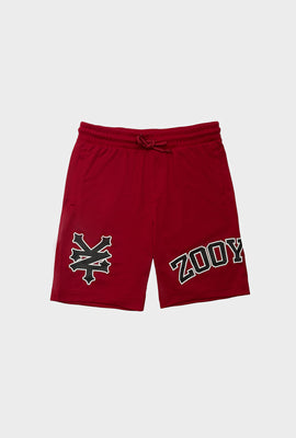 Zoo York Youth Logo Mesh Shorts