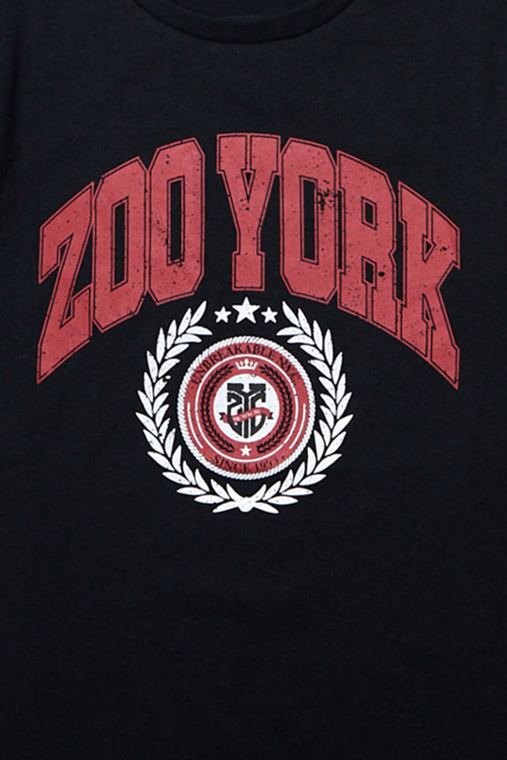 T-shirt imprimé collegiate Zoo York junior T-shirt imprimé collegiate Zoo York junior