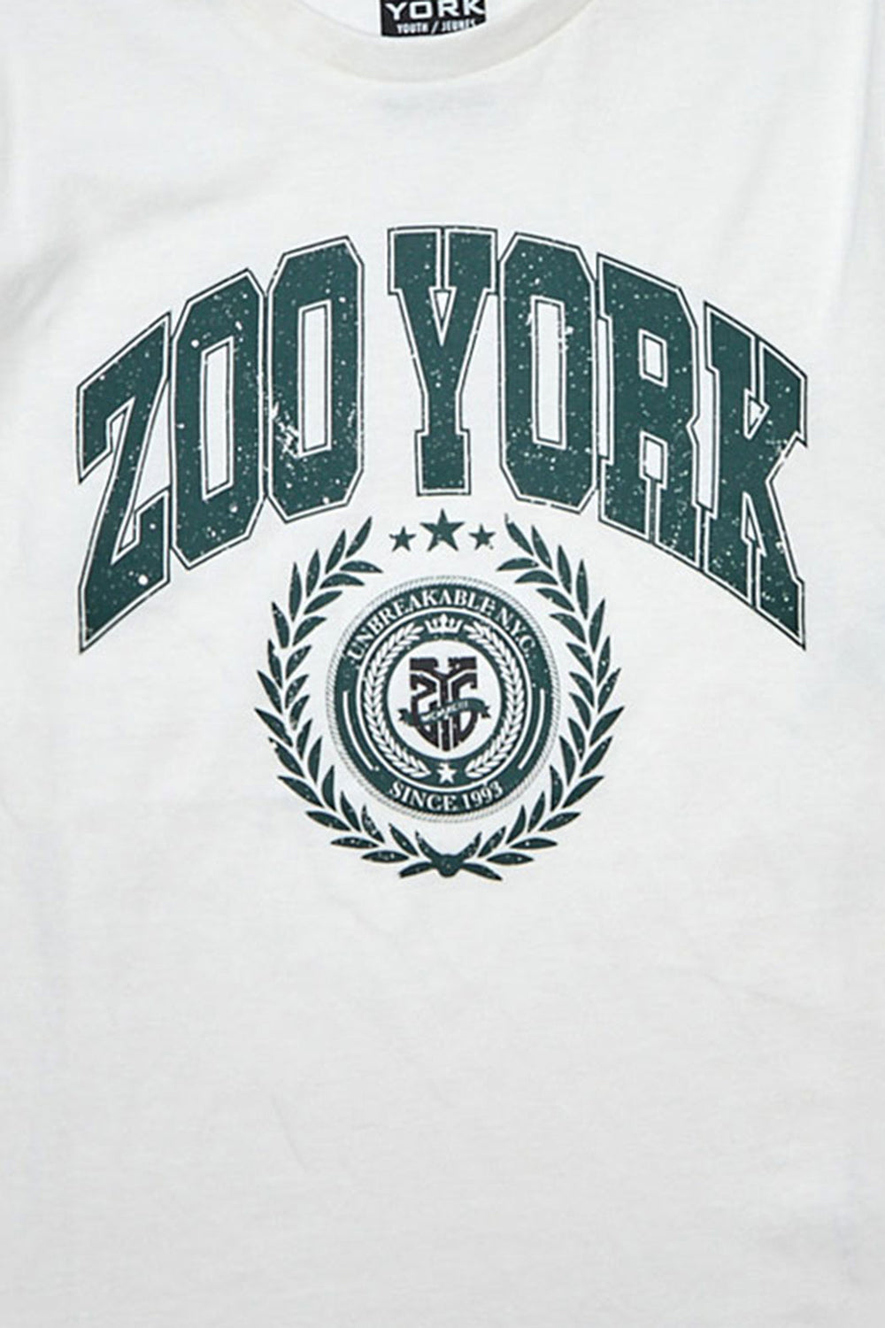 T-shirt imprimé collegiate Zoo York junior T-shirt imprimé collegiate Zoo York junior