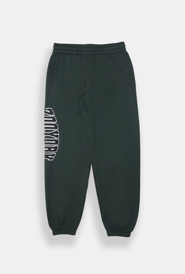 Zoo York Youth Varsity Logo Sweatpant