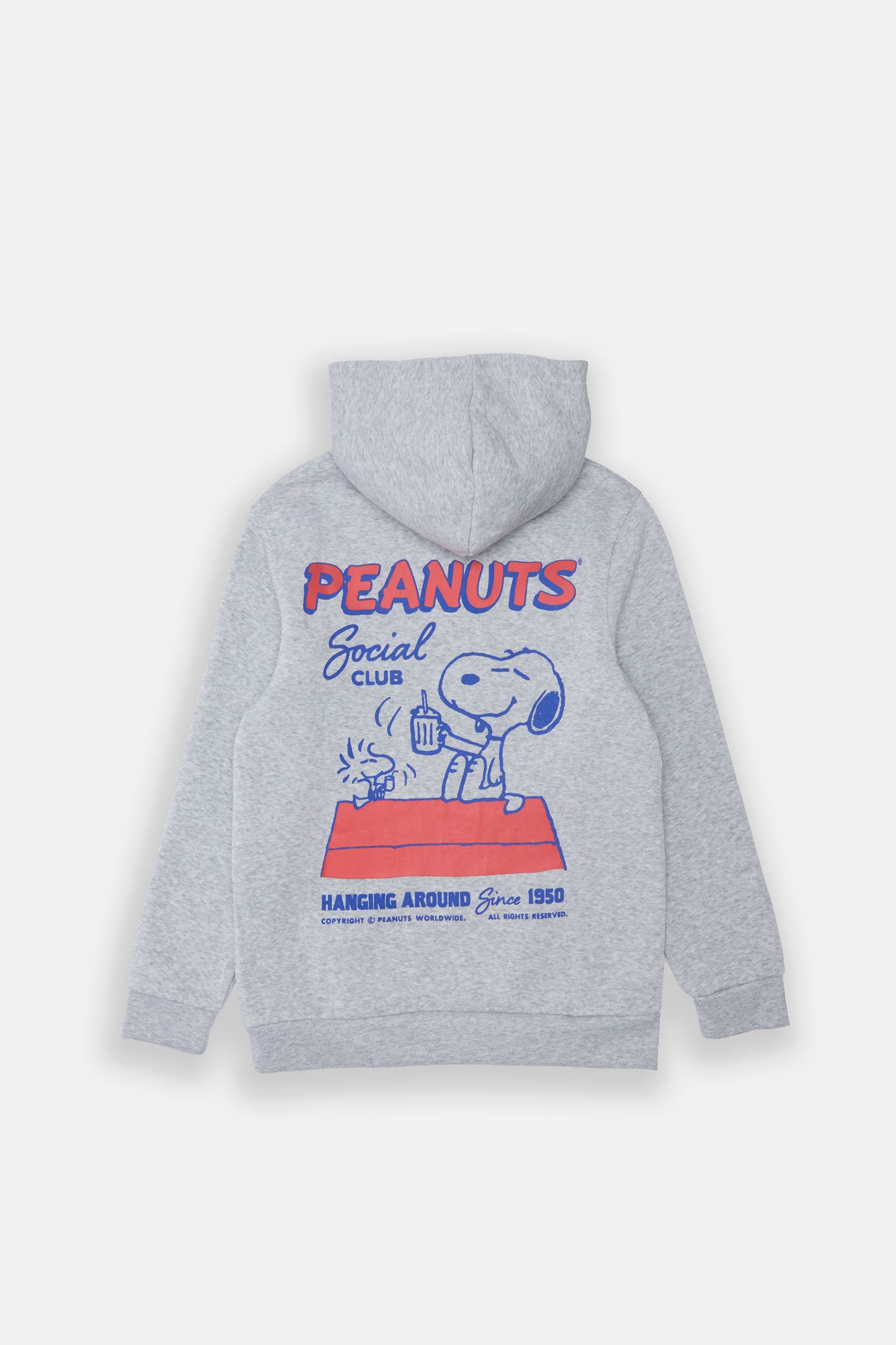 Youth Peanuts Social Club Graphic Hoodie - Heather Grey /