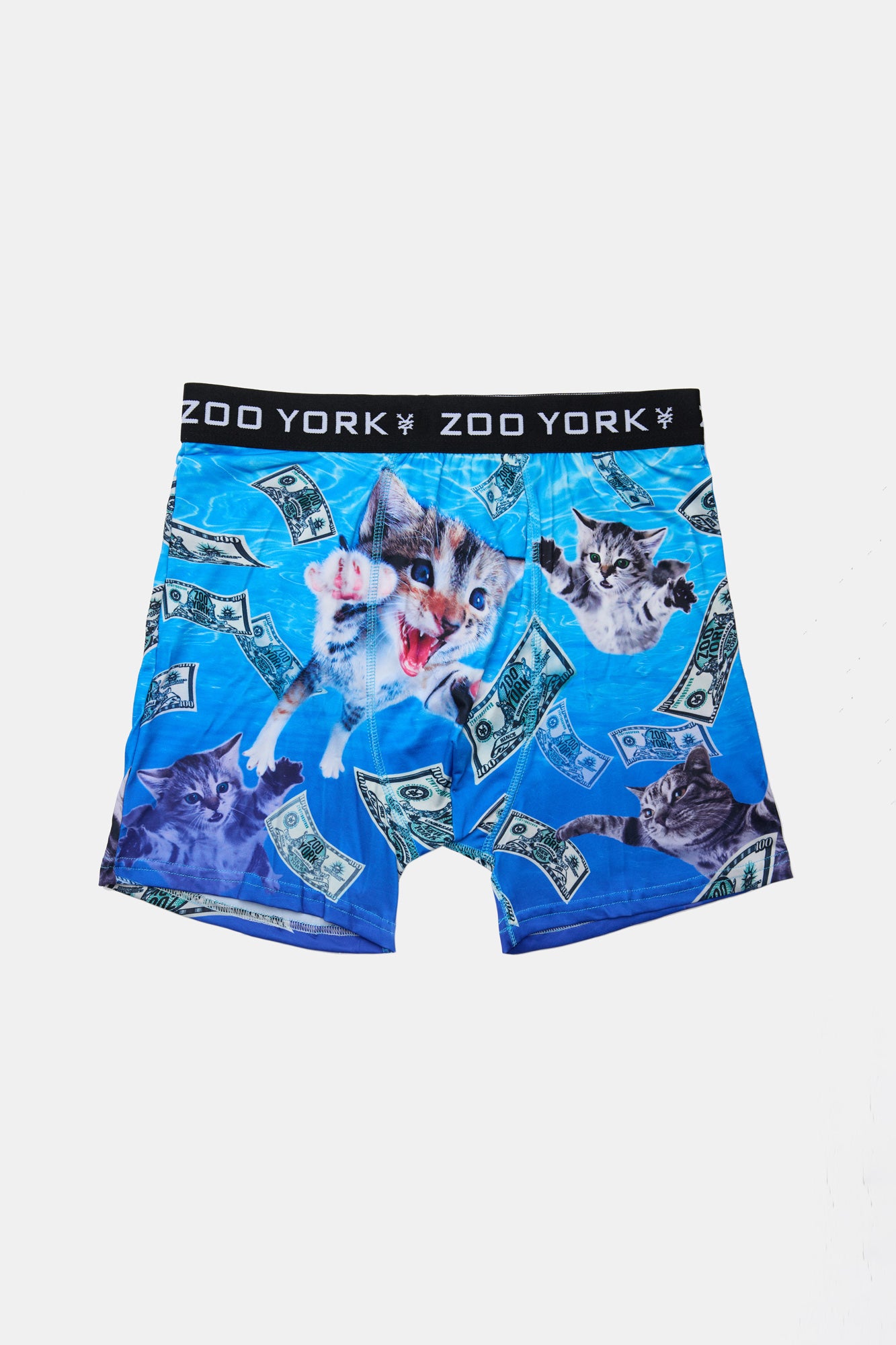 Zoo York Youth Money & Kittens Boxer Brief - Blue /