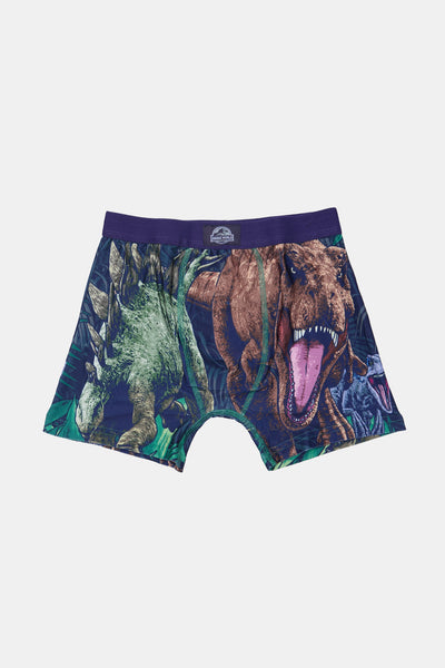 Youth Jurassic World Dinosaur Boxer Brief West49