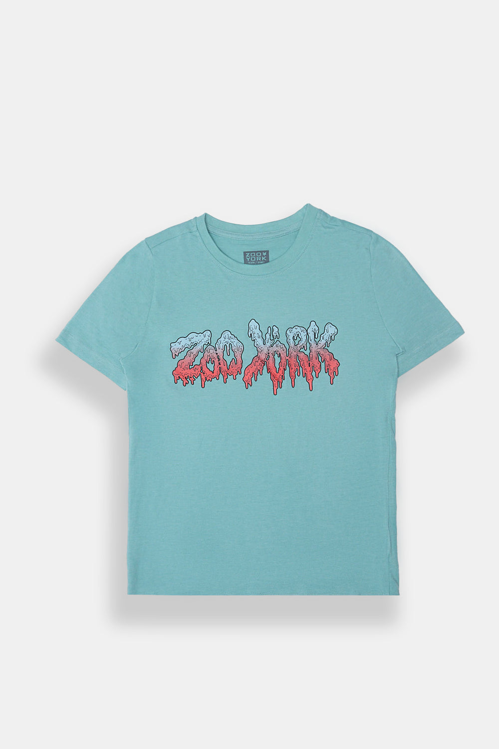 Zoo York Youth Drip Logo T-Shirt Zoo York Youth Drip Logo T-Shirt