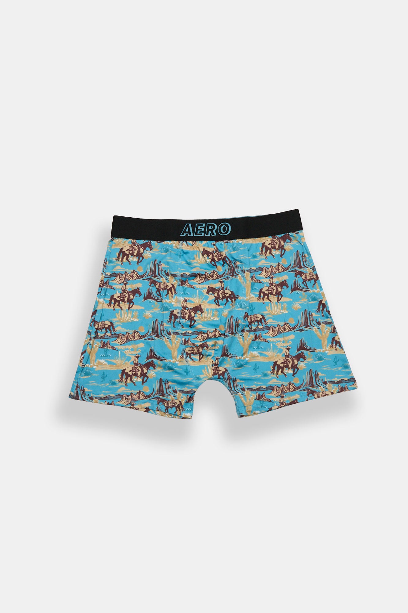 Cowboy Western Cactus Printed Boxer Briefs - Teal /