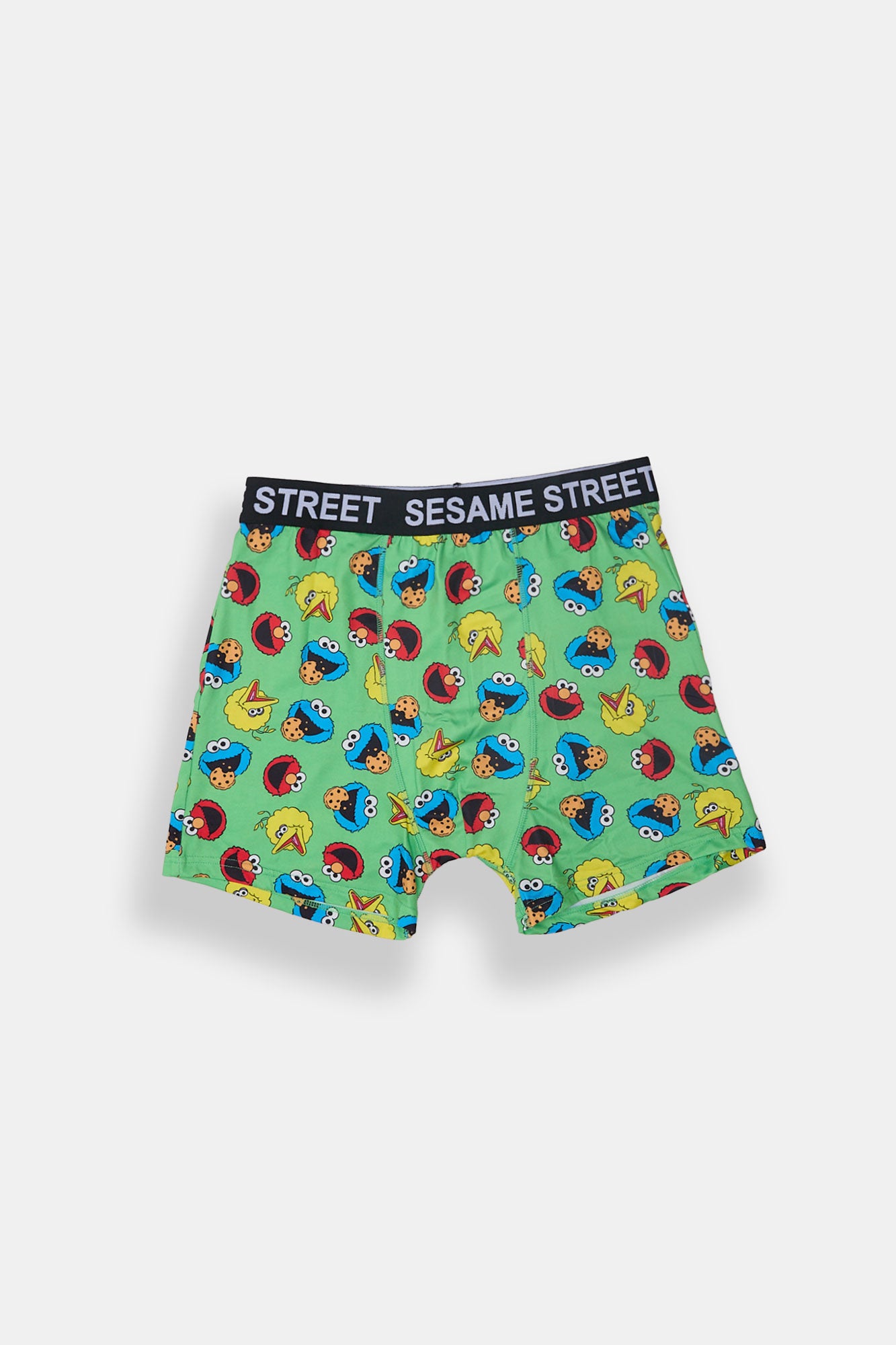 Mens Sesame Street Boxer Brief - Green /