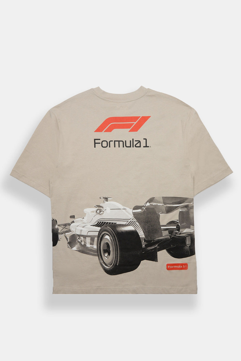 Formula 1 Panel Print Oversized Tee Formula 1 Panel Print Oversized Tee