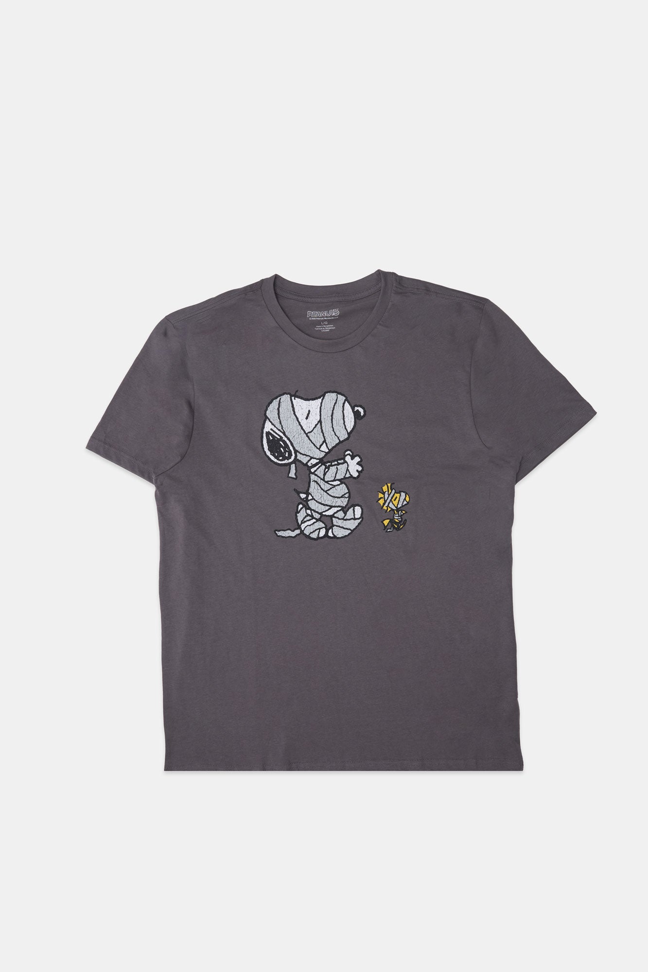 Mens Snoopy & Woodstock Mummies Graphic T-Shirt - Heather Grey /
