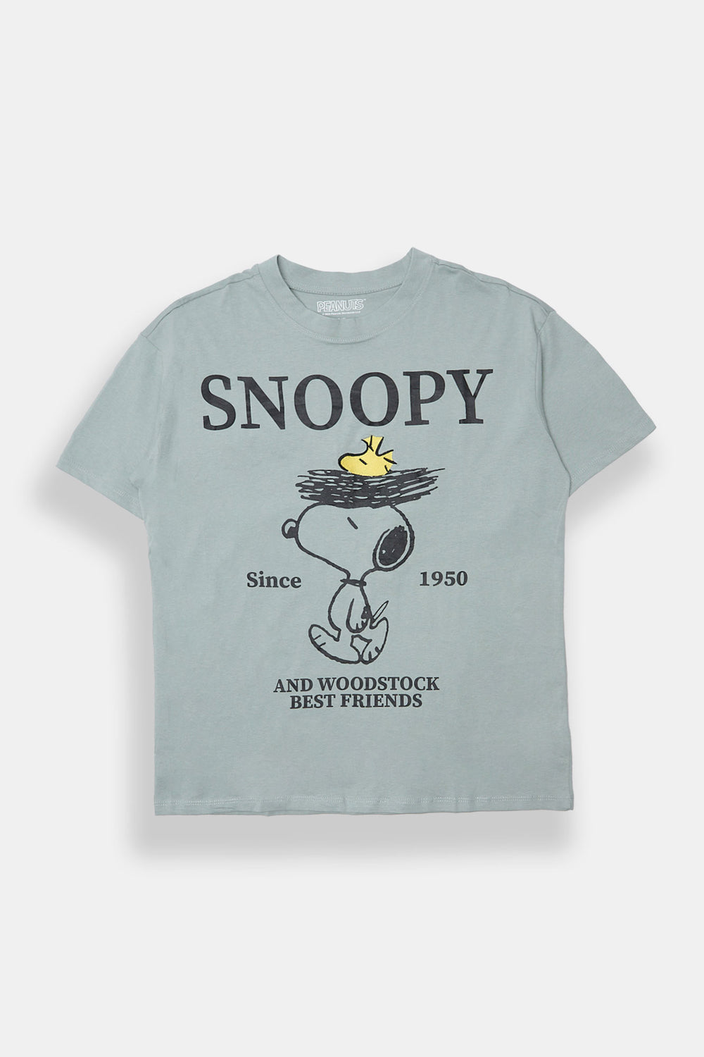 Peanuts Snoopy & Woodstock Graphic Boyfriend Tee Peanuts Snoopy & Woodstock Graphic Boyfriend Tee