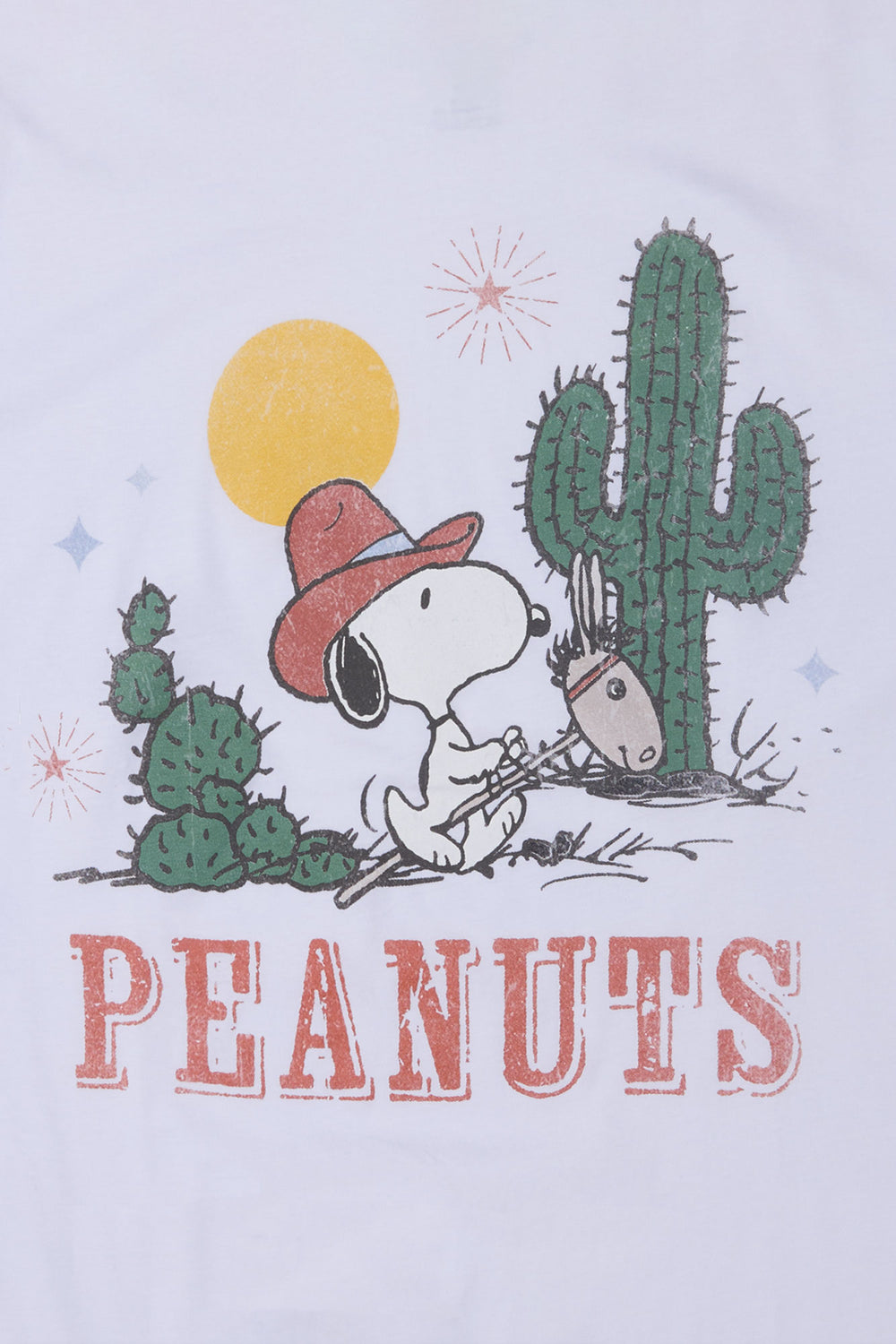 Peanuts Cactus Graphic Boyfriend Tee Peanuts Cactus Graphic Boyfriend Tee